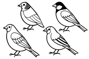 Finch Bundle Set Minimalist Line Art Vector