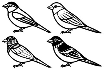 Finch Bundle Set Minimalist Line Art Vector