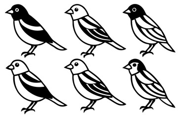 Finch Bundle Set Minimalist Line Art Vector
