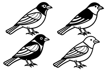 Finch Bundle Set Minimalist Line Art Vector