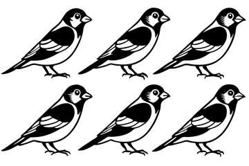 Finch Bundle Set Minimalist Line Art Vector