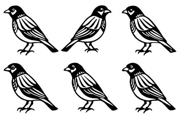 Finch Bundle Set Minimalist Line Art Vector