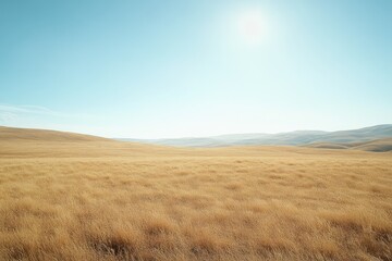 Fototapeta premium Vast golden field stretches under a pale blue sky. Sunlight brightens the horizon