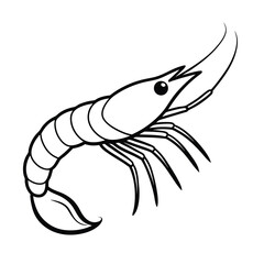 clean vector shrimp