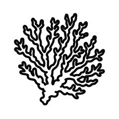 coral vector