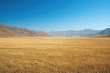 Vast golden plain stretches beneath a vibrant blue sky, framed by distant mountains