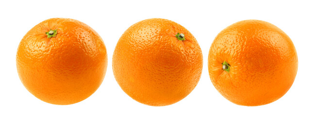 Collection of oranges isolated on white. Clipping path. 
