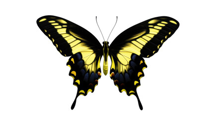 Obraz premium Colorful Butterfly with Yellow and Blue Wings on Transparent Background