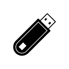 Usb Flash Drive Icon Vector Flat and Clean Look