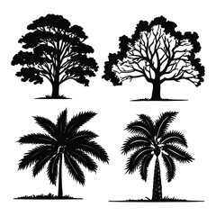 Obraz premium Collection of bare winter tree silhouettes with branches, Tropical beach nature vector illustration, perfect for nature and forest landscape designs, with black palm tree silhouettes