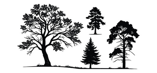 Fototapeta premium Collection of bare winter tree silhouettes with branches, Tropical beach nature vector illustration, perfect for nature and forest landscape designs, with black palm tree silhouettes