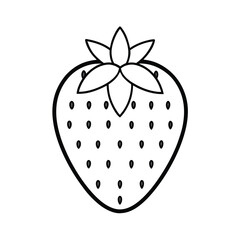 strawberry vector illustration