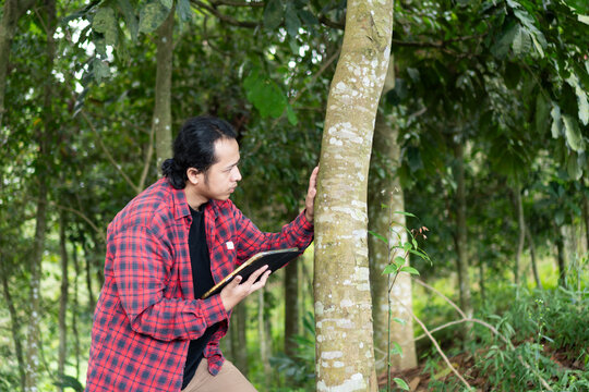 Young environmental researcher using digital tablet to analyze and data collection tree trunk in tropical forest