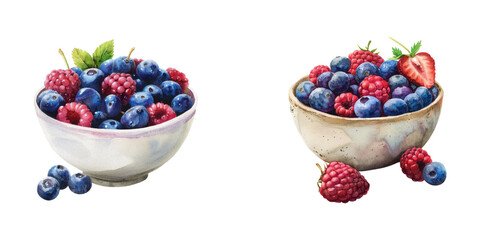 bowl of berries watercolor vector illustration