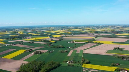 Aerial View of Patchwork Farmlands