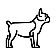 Boston Terrier dog outline icon. dog breed black line illustration.