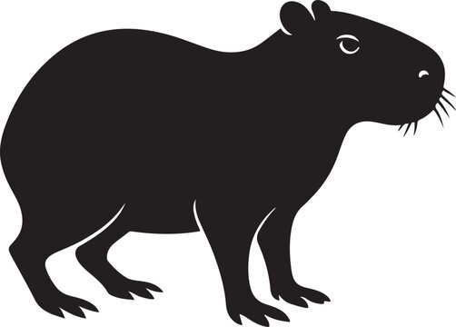 a copybara vector