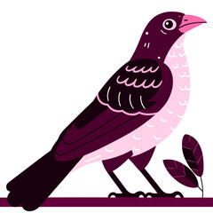 Realistic full-body image of a Society Finch on a white background, perfect for digital or print use.