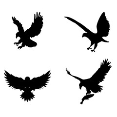 set of silhouettes of birds.Vector eagles illustration 