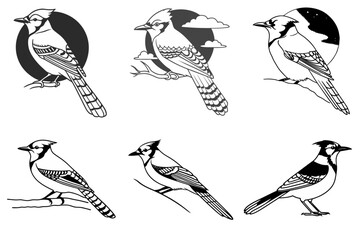 Fly 6 Blue Jay birds bundle
