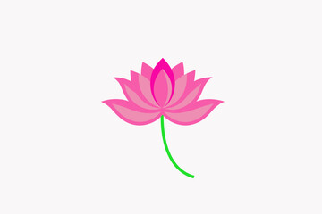 Lotus flower