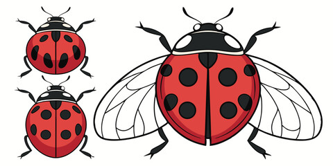 Adorable red ladybug illustrations on a white background ready for creative design projects