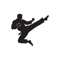 silhouette tae kwon do athlete