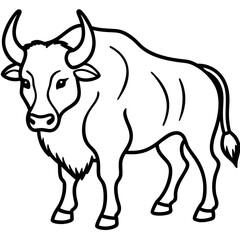 Polar Bison line art vector