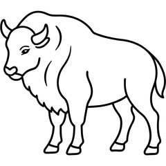Polar Bison line art vector
