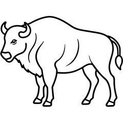 Polar Bison line art vector
