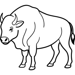 Polar Bison line art vector