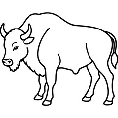 Polar Bison line art vector