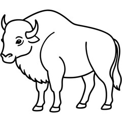 Polar Bison line art vector