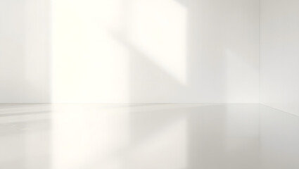 Minimalist Room and Shadow Play: A sleek, modern interior space, illuminated by natural light casting soft shadows that dance on the pristine surfaces.