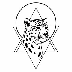 Wild nature big cat leopard portrait with spots, fur, and eyes, a dangerous feline predator or hunter on black, white, or print