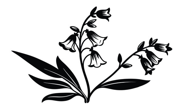 Vibrant penstemon and beardtongue flowers with tubular blooms