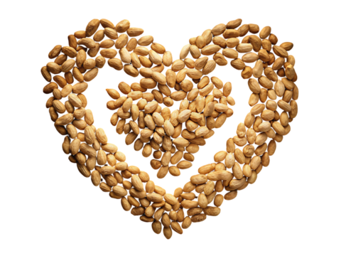 Cashews Heart Shape Image