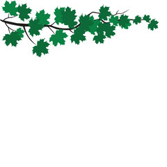 Make a Professional Twig Vector Art