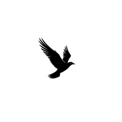 Bird in Mid-Glide Silhouette