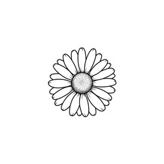 Top-View Daisy with Central Disc Icon