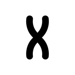 Chromosome X Shape Detailed Biology Science Image for Genetics
