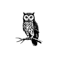 Fototapeta premium Owl Perched on Branch Icon