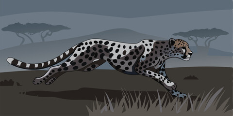 Vector illustration of a running cheetah on a savannah landscape with transparency