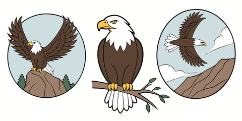 Vector illustration of american bald eagles in various poses on a white background