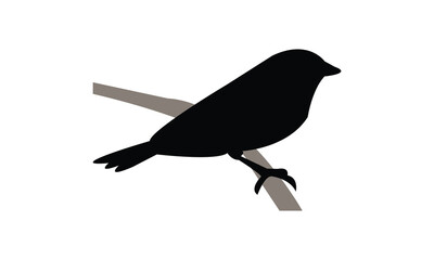 Aldabra fody bird Silhouette Design  And Vector Illustration. 