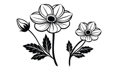Elegant windflower and anemone floral design