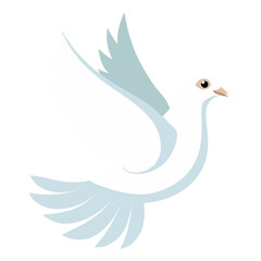 Fototapeta premium a white dove in flight with outstretched wings.