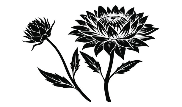 Papery strawflower and xeranthemum floral design