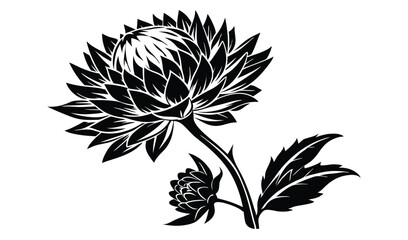 Papery strawflower and xeranthemum floral design