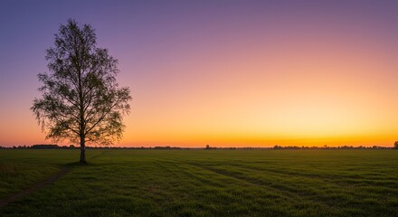 Obraz premium AI-Generated of Lone Tree in Morning Fog with Glowing Sunrise and Negative Space